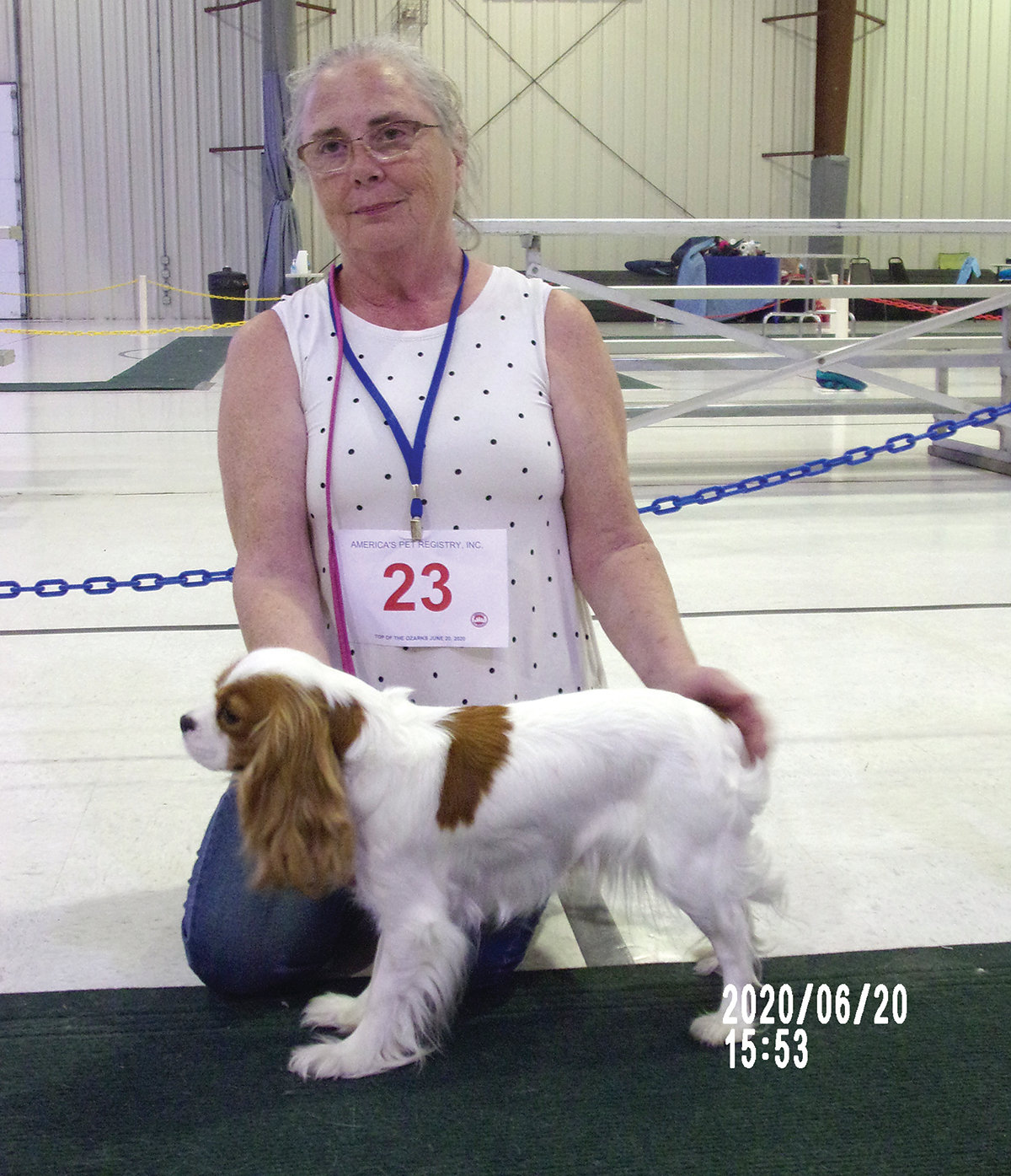 This Cavalier King Charles Cocker Spaniel named Royal Windsor was Top Dog in the first show.